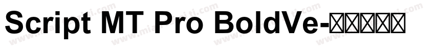 Script MT Pro BoldVe字体转换